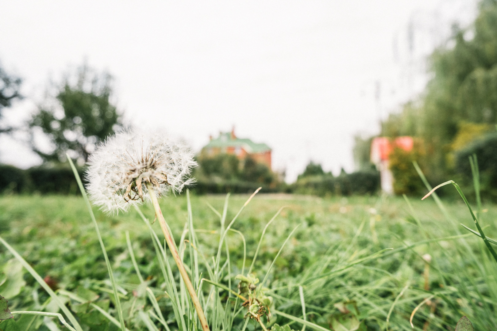 Гостевой дом Green Roof