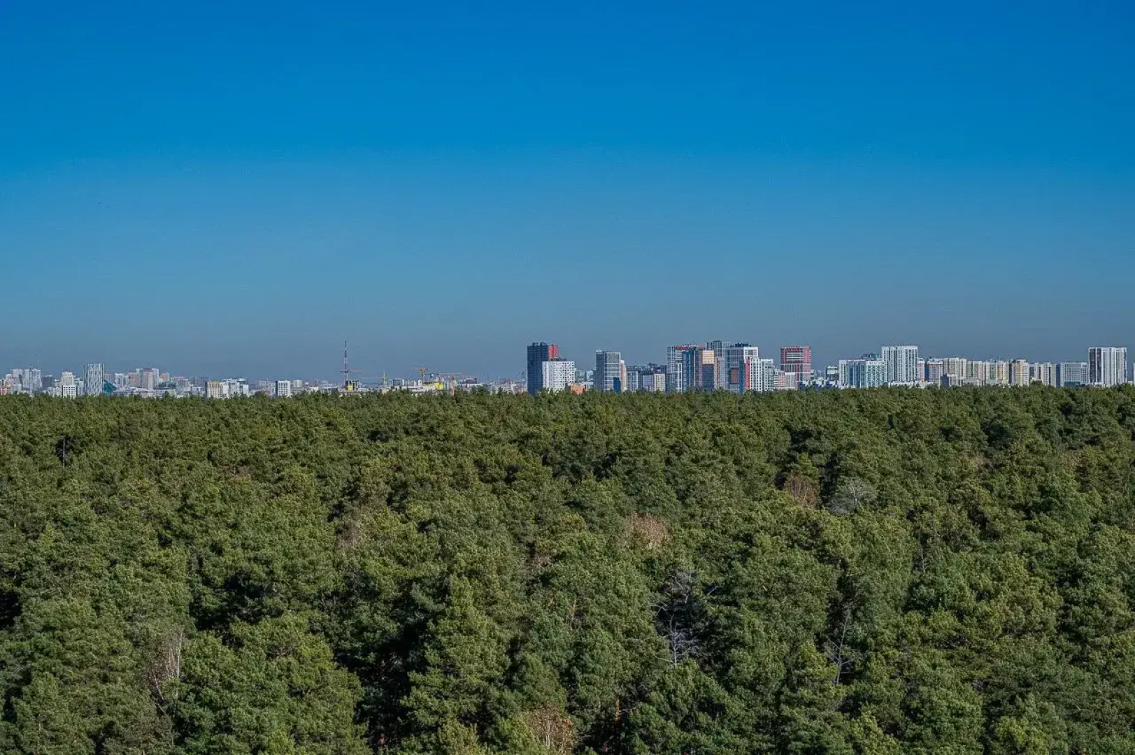 Квартира Великолепная Квартира с Видом на Сосны