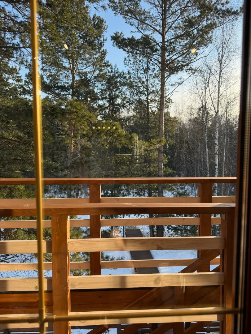 Меблированные комнаты Шишки