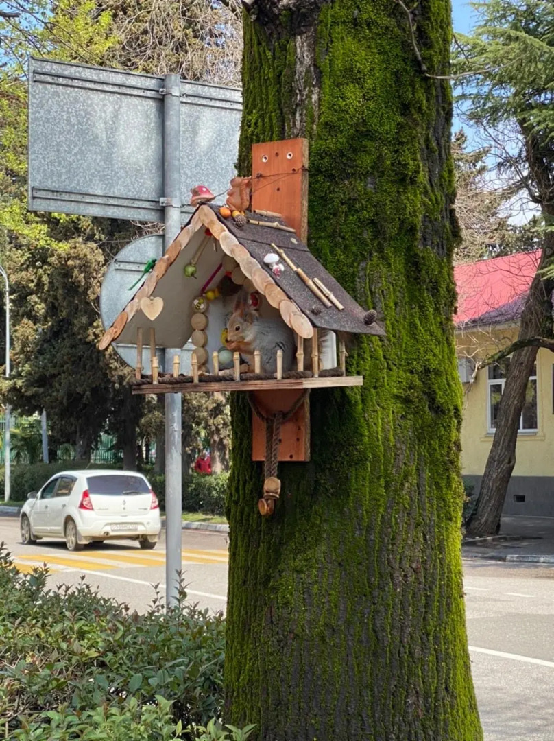 Гостевой дом Сюзи