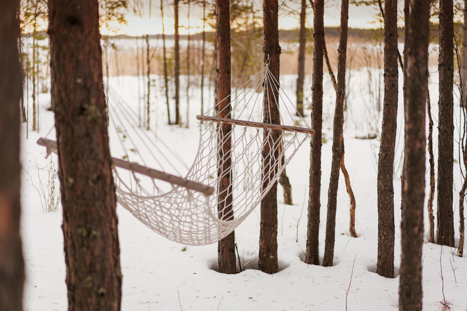 Частный дом MagicHome