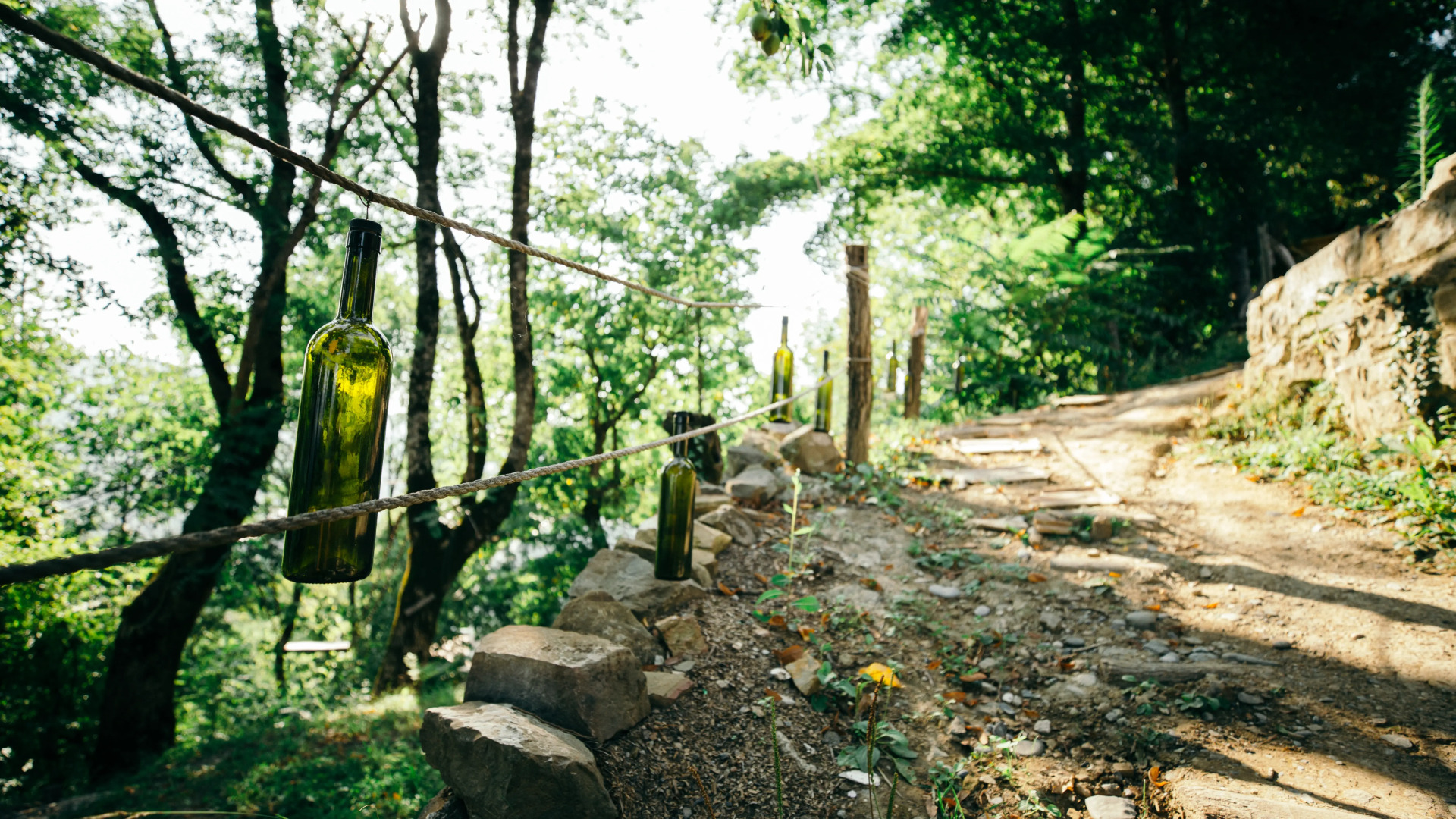 Глэмпинг Wine Space