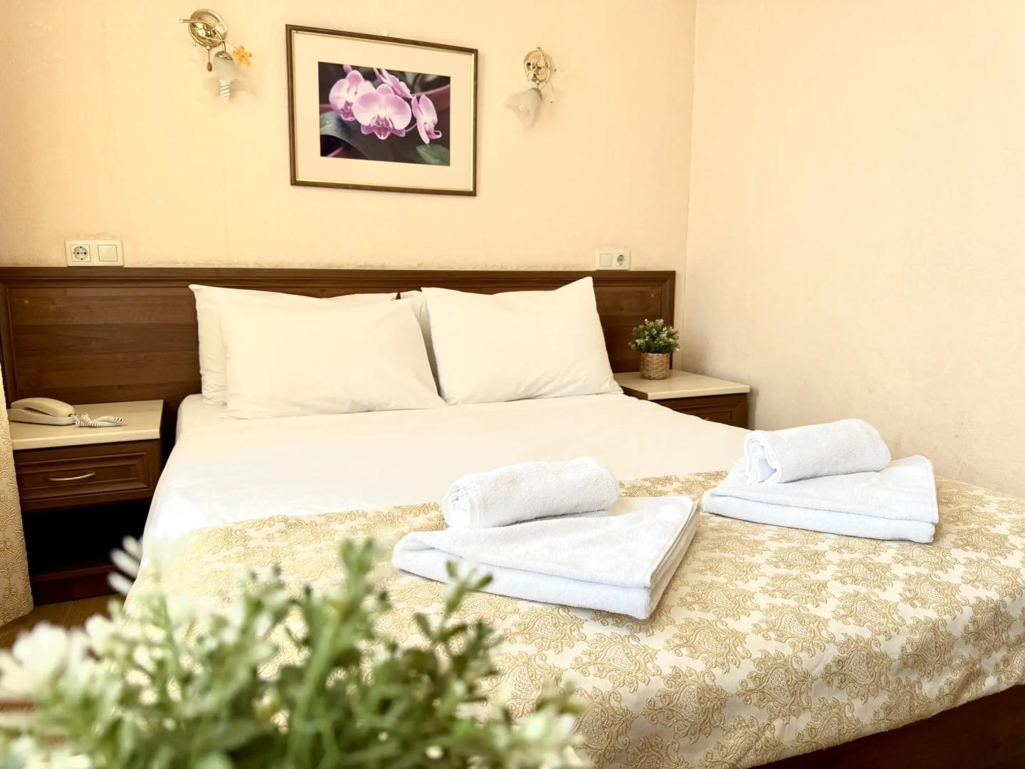 Гостевой дом М+