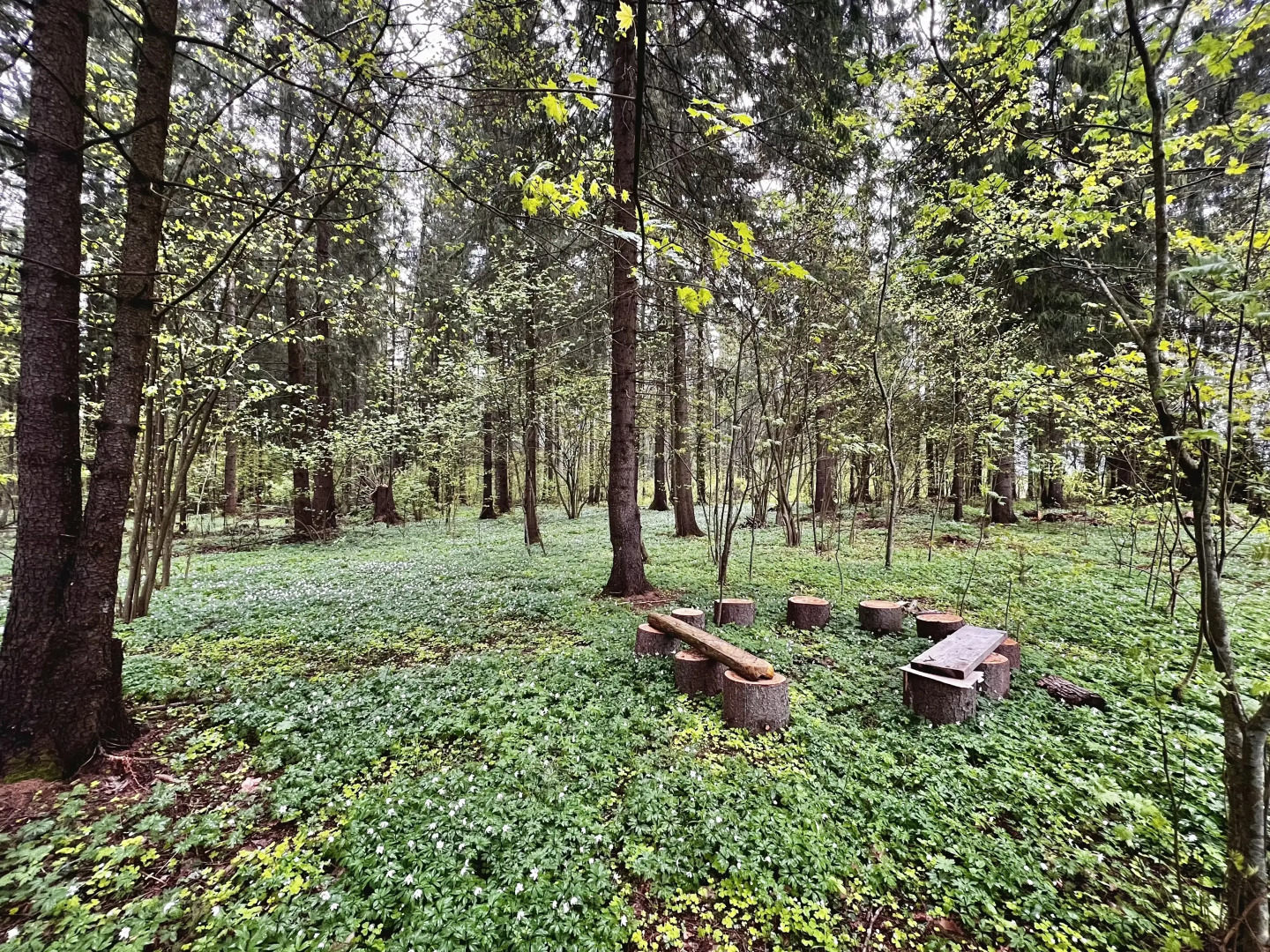 Гостевой дом Загородный таунхаус на берегу собственно водоёма