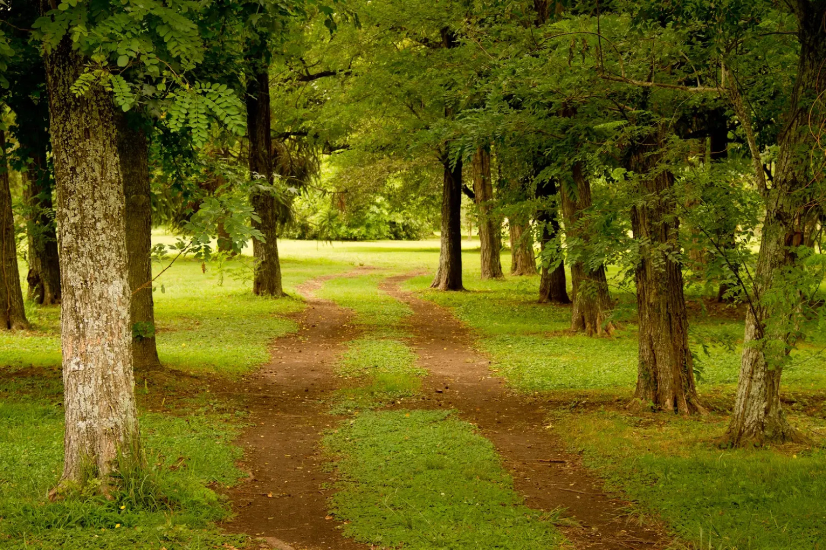 Отель Estancia Monte Viejo