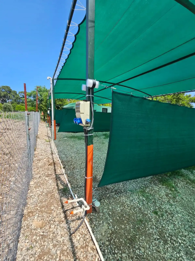 Мини-отель Orange beach camp caravan club