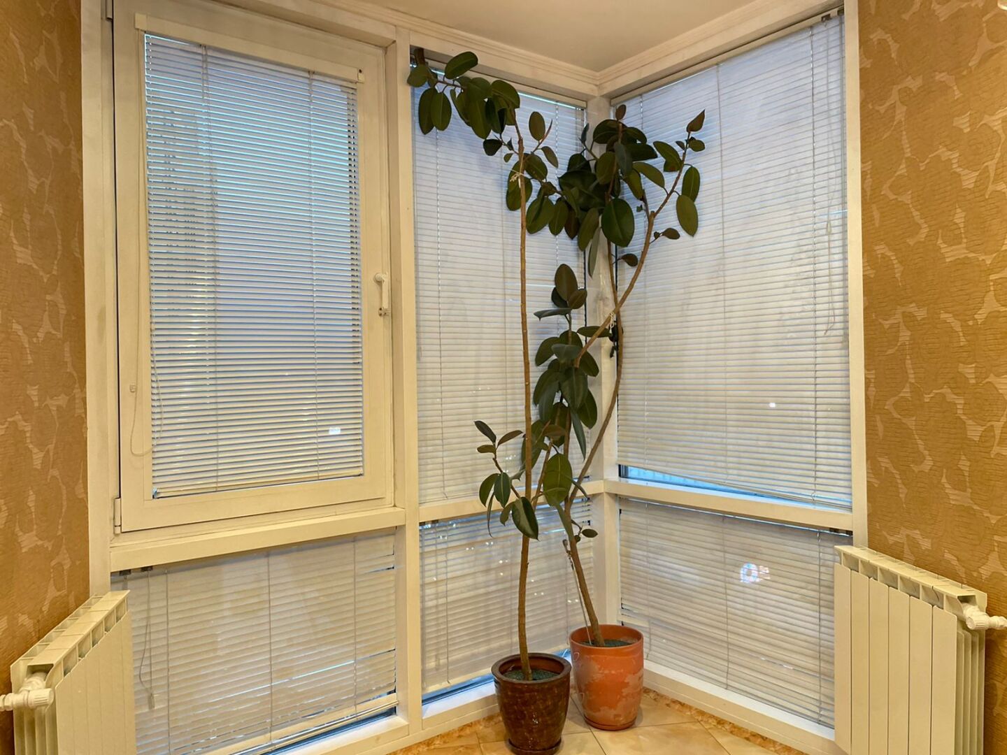 апартаменты великолепные в минуте от метро Беговая