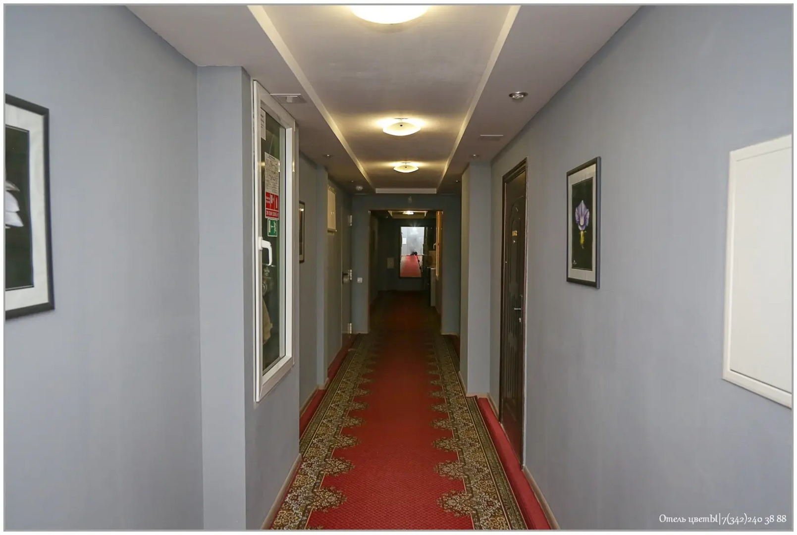 Отель ЦветЫ