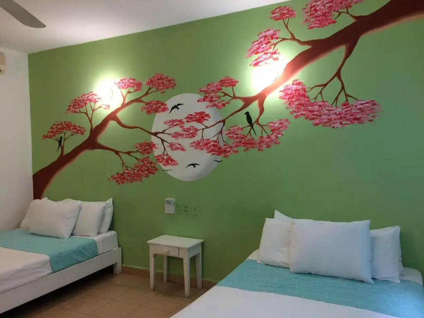 Отель Playa del Sol by Rotamundos