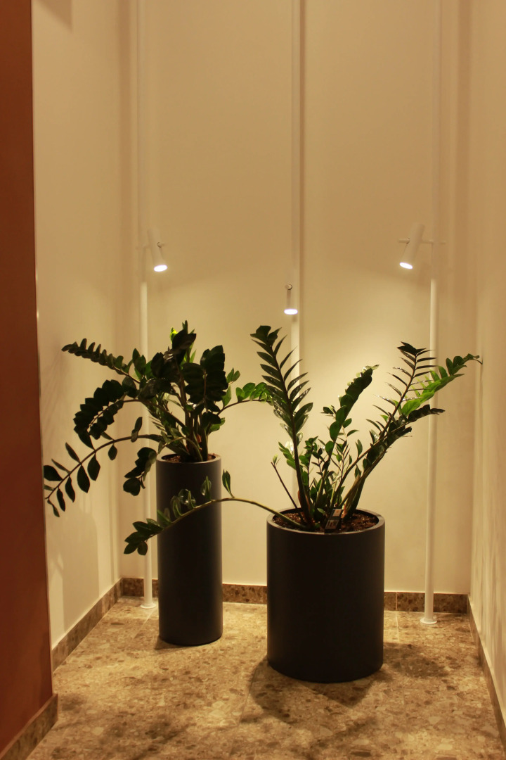 Квартира Уютная квартира Голландский квартал Янино-1