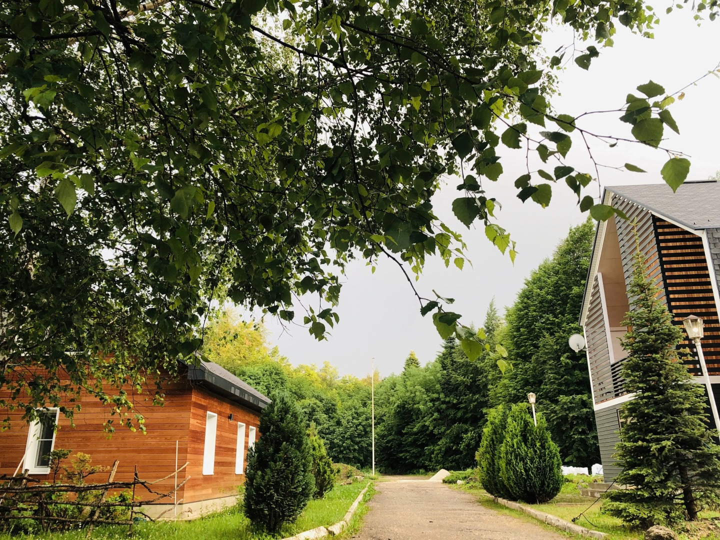 Парк-отель Пихтовый Бор