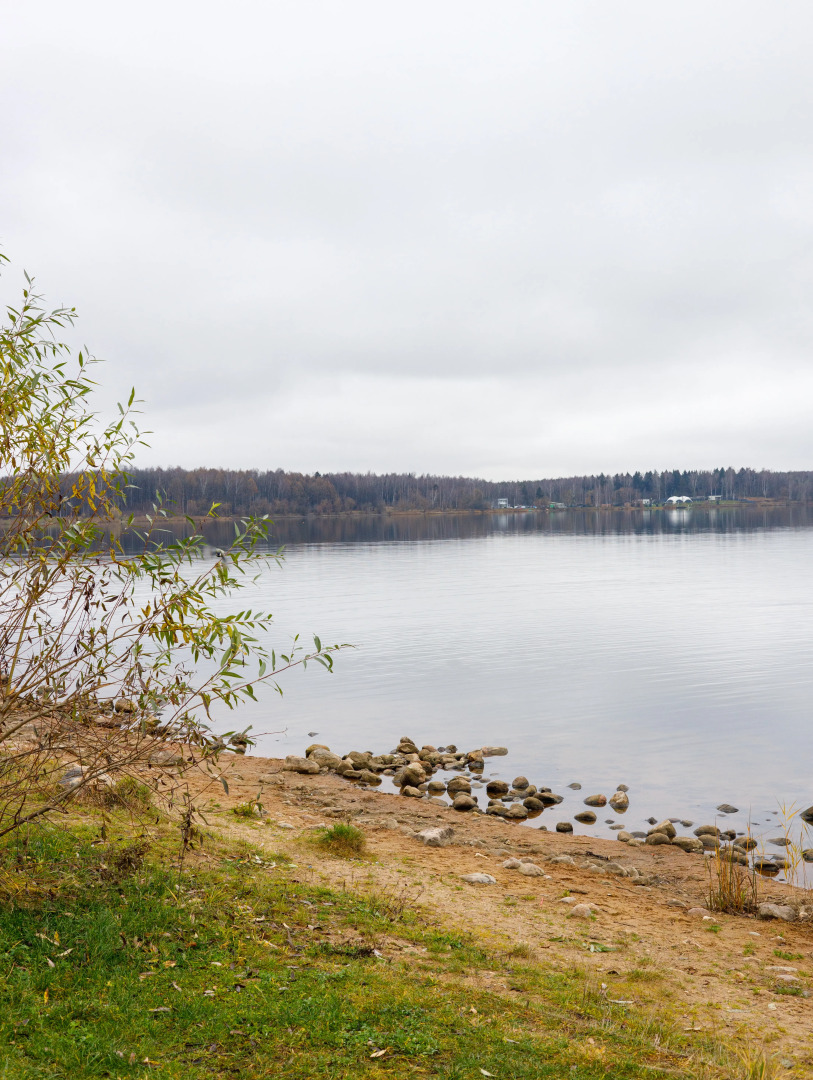 Квартира уютная на 15 этаже в самом сердце парка