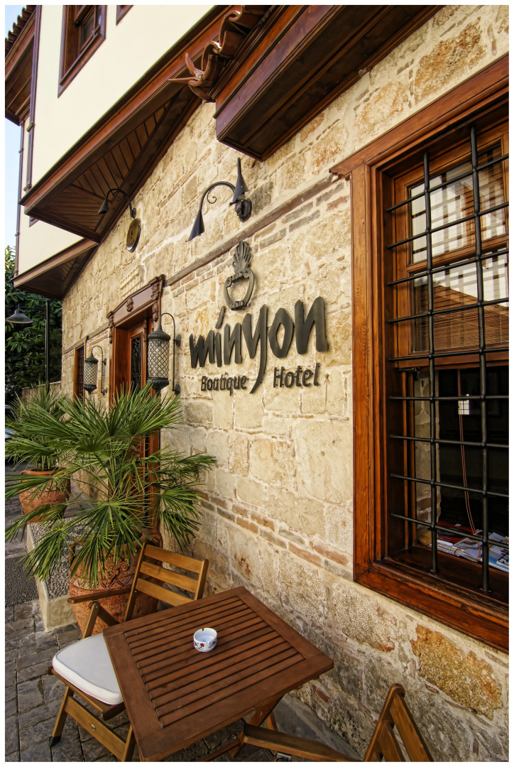 отель Minyon