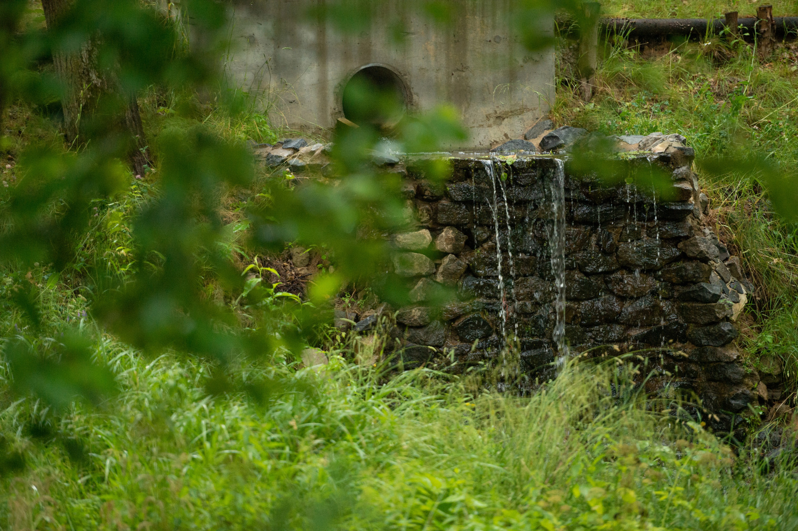 Парк-Отель Розендорф