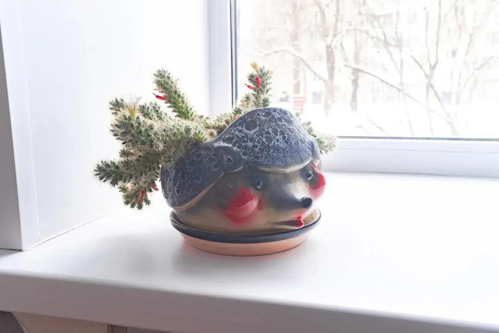 Квартира на 2-й Краснинской 7