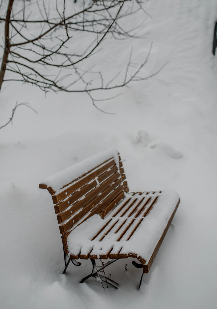 Частный Дом в Аренду А-Шалаш у Сосны
