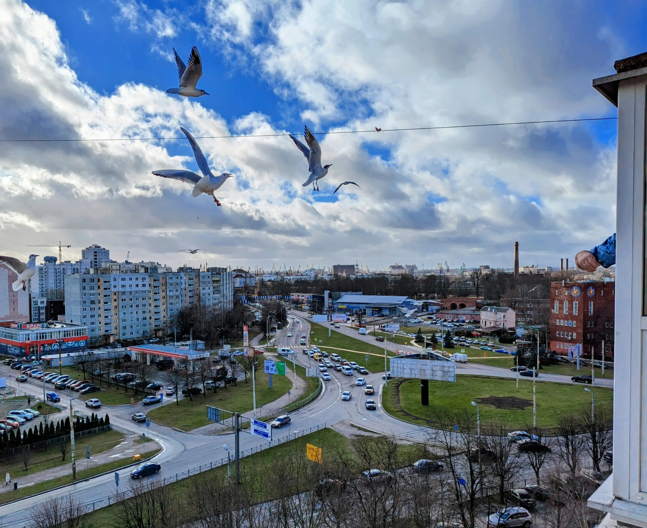 Видовые апартаменты на Московском