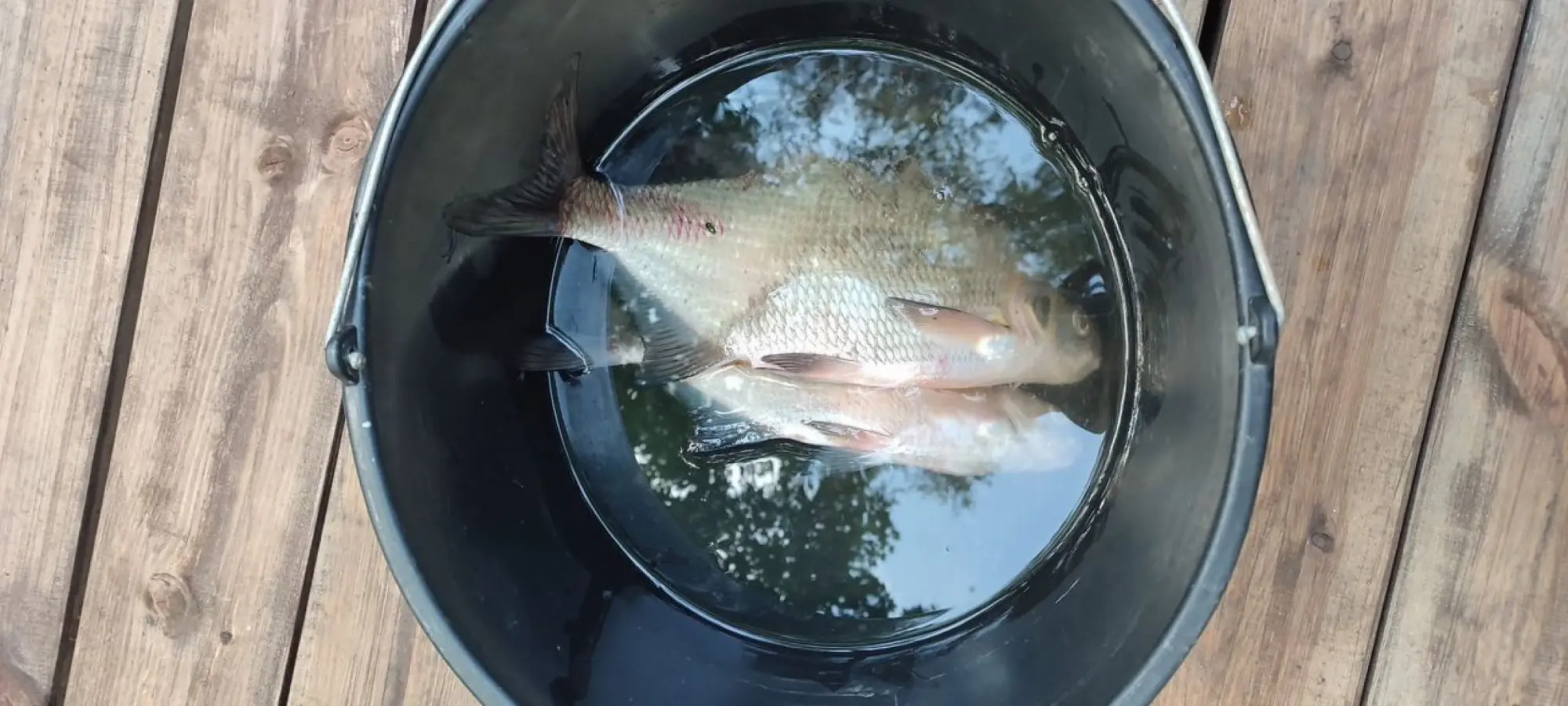 Гостевой дом Цаpевич