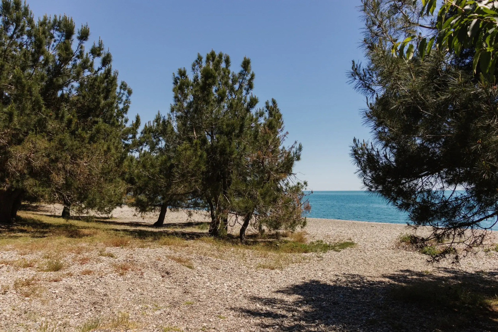 Отель "Талион"