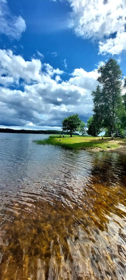 Гостевой Дом Шишки