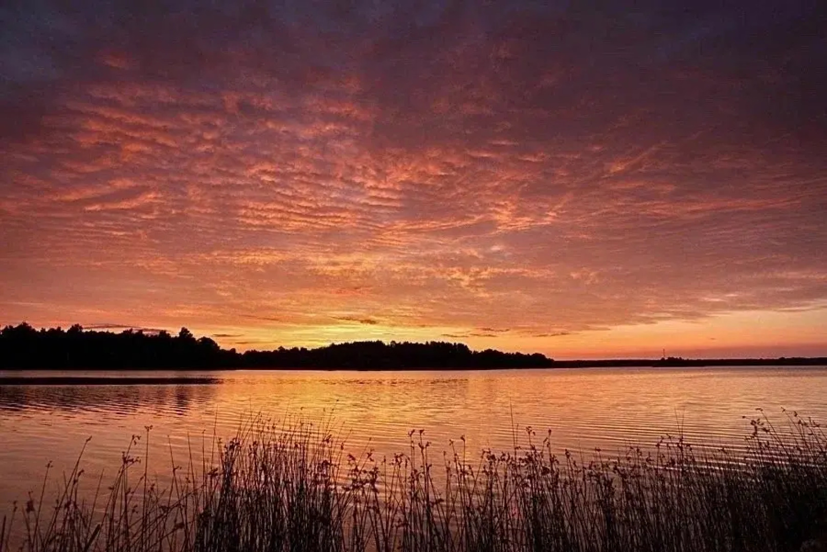 База отдыха Нептун