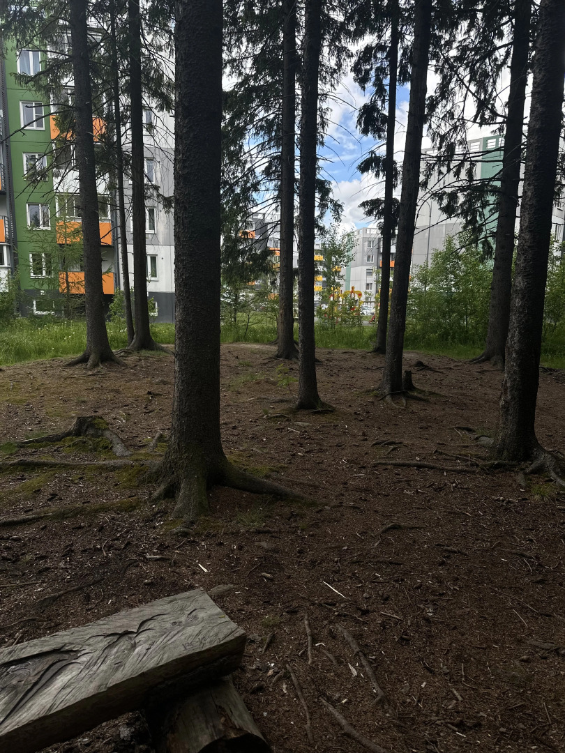 Апартаменты на Софьи Ковалевской 14a