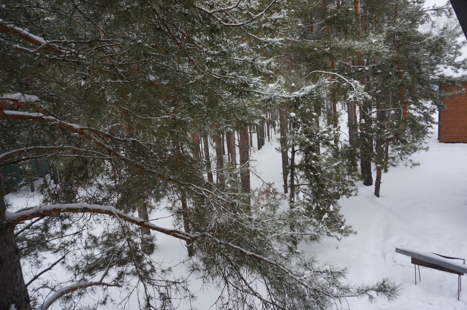 База Отдыха Черкасский Затон