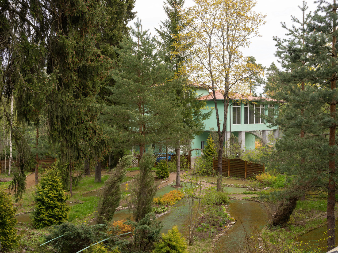 Отель Forest Relax