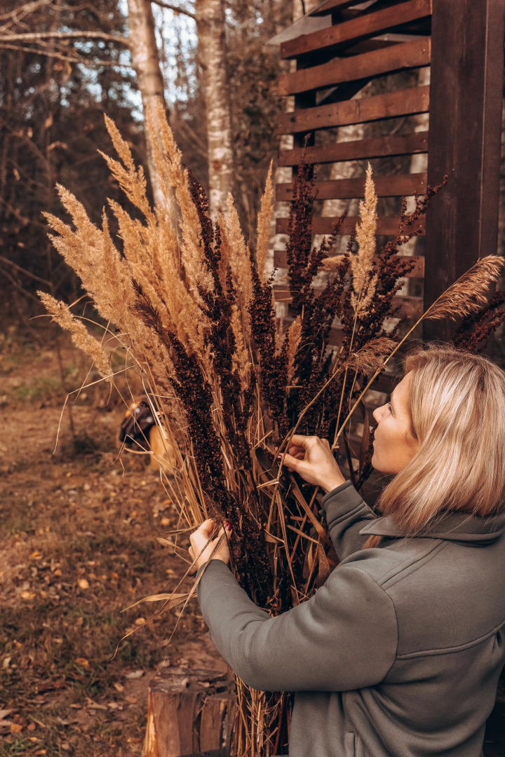 Кемпинг ForrestHome