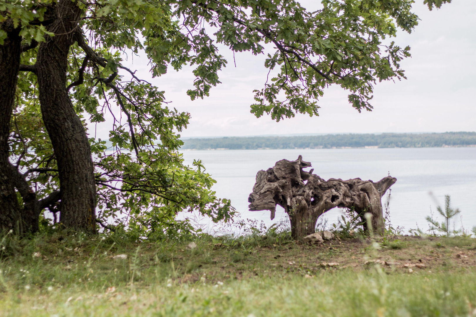 База Отдыха Сосновый Бор на Усе