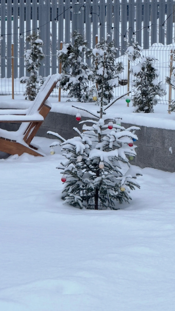 Частный дом у озера