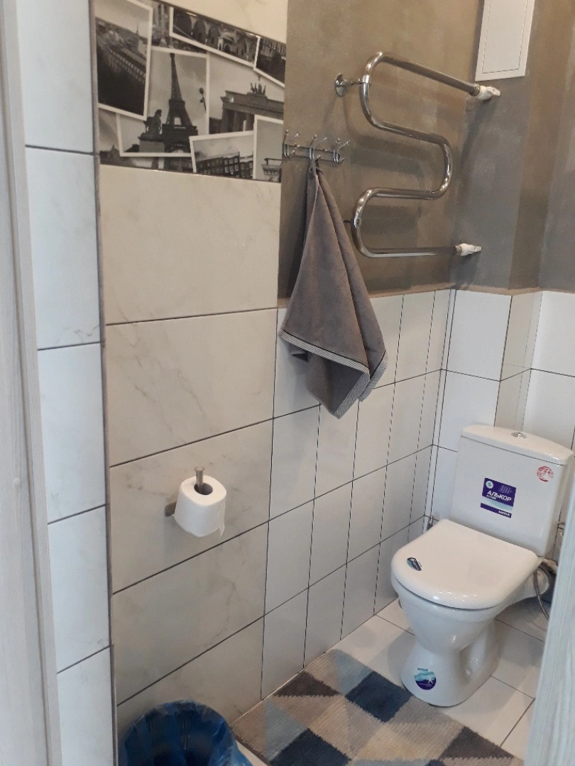 Отель Гостиница Платина