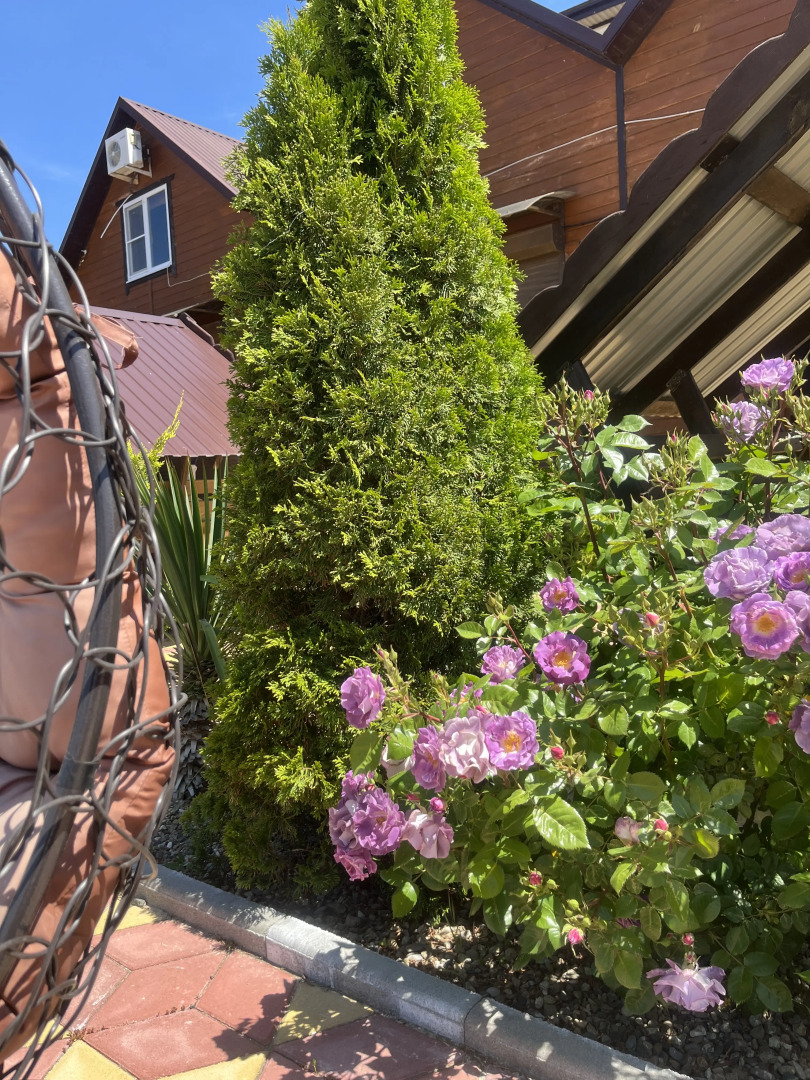 Гостевой дом Деревянные Домики под Ключ на ПК Кавказ