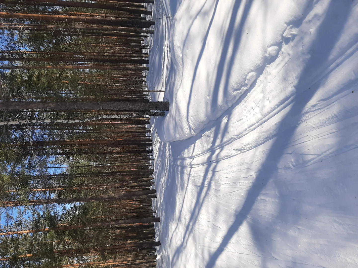 Отель Сегежа