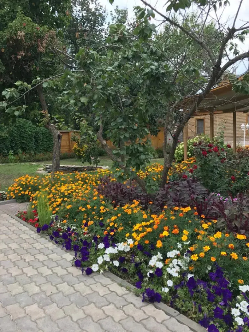 Гостевой дом на Кызыл Армейской