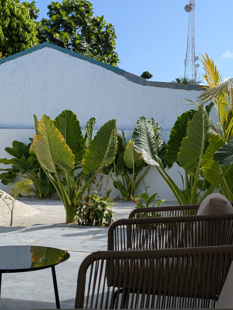 Ночлег и завтрак (B&B) Avi Guesthouse