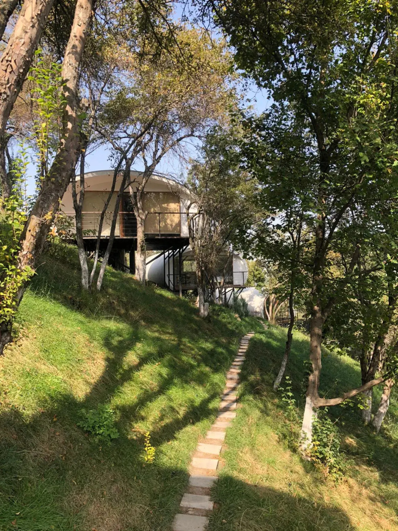 Глэмпинг Apple Resort