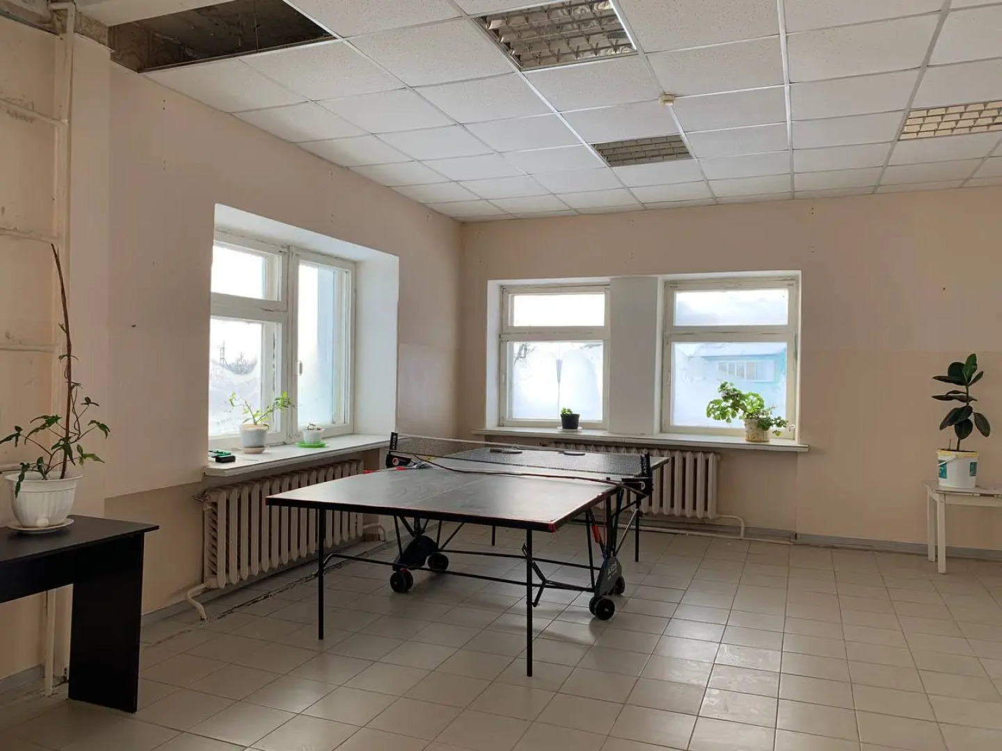 MAXROOMS у Плеса