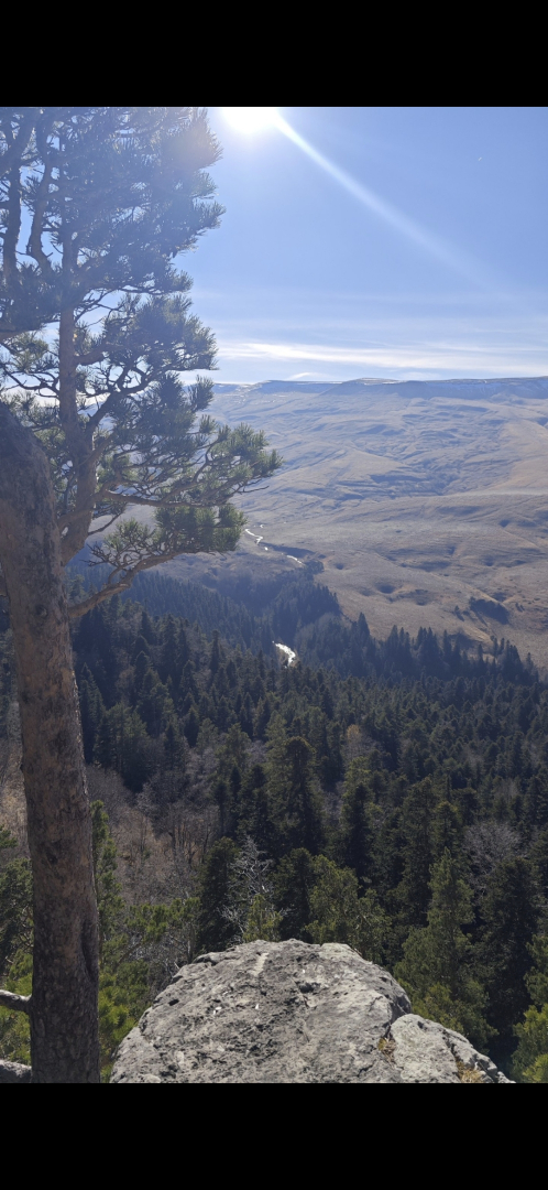 Меблированные комнаты Надежда