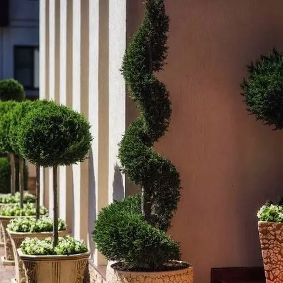 Гостевой Дом Villa Sofia Gelendzhik