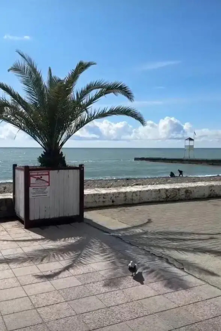 Апартаменты в Сочи центр Хосты с видом на море АК Горка