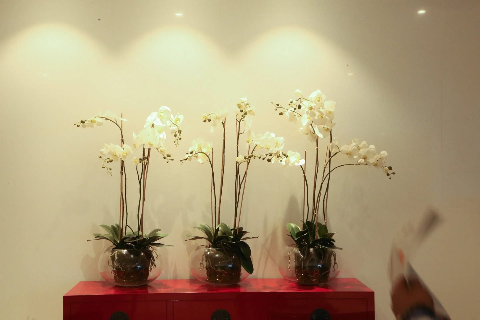 Отель Deccan Serai