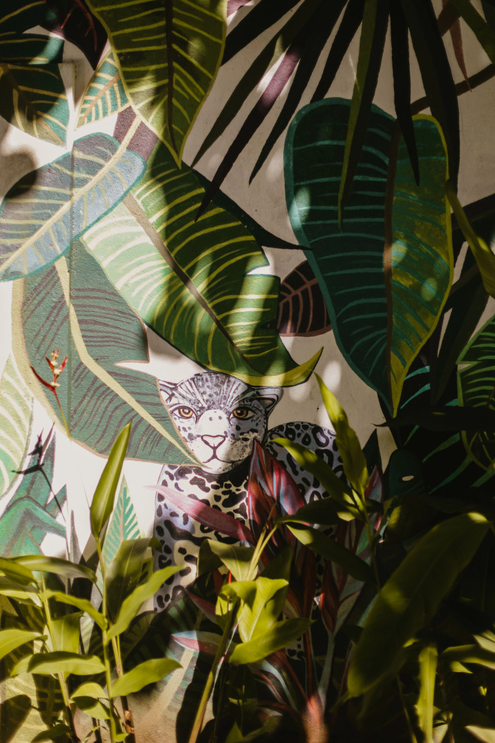 Отель Jungle Soul