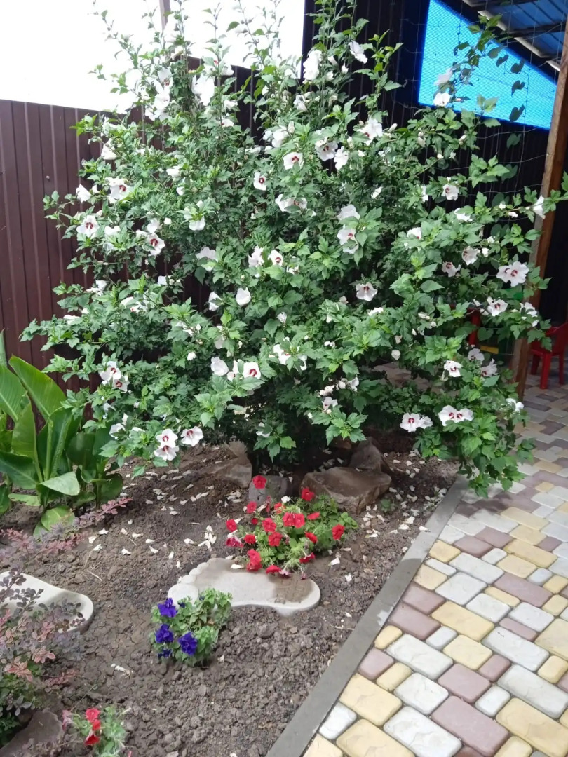 Гостевой дом Высокий берег инн