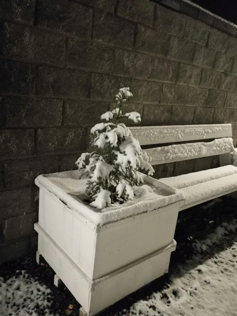 Гостевой дом Дач-Хаус