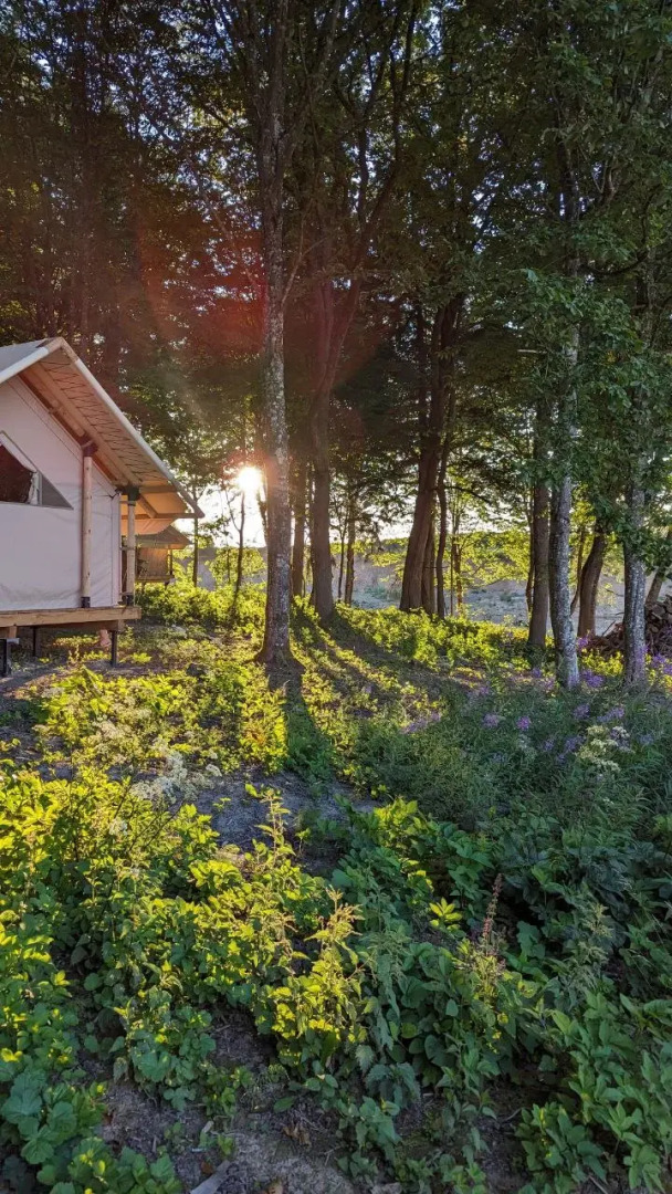 Шале СТД Горка