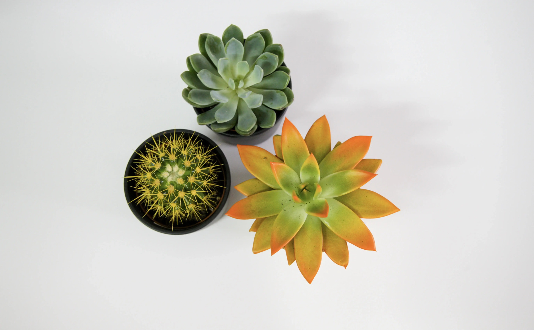 Капсульный Отель Атмосфера