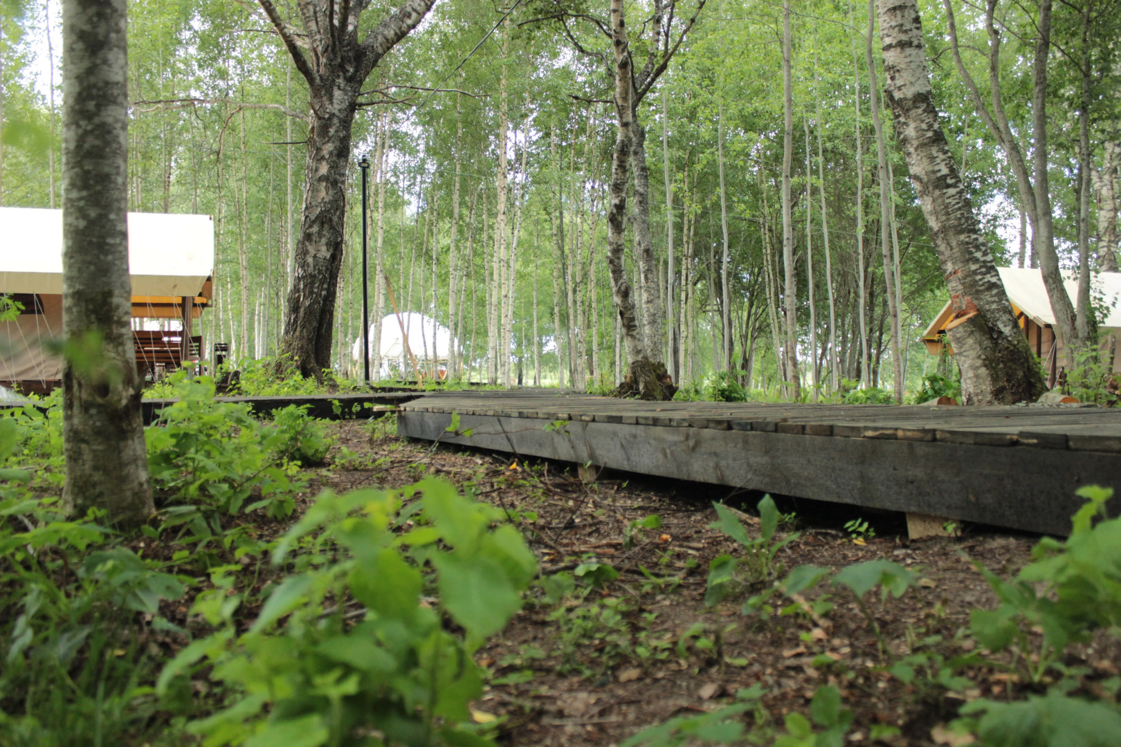 Глэмпинг СвобоДа