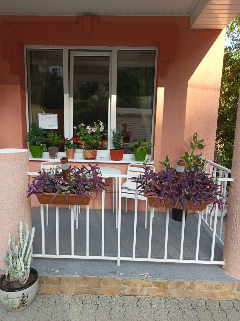 Гостевой дом Бамбуковый Рай