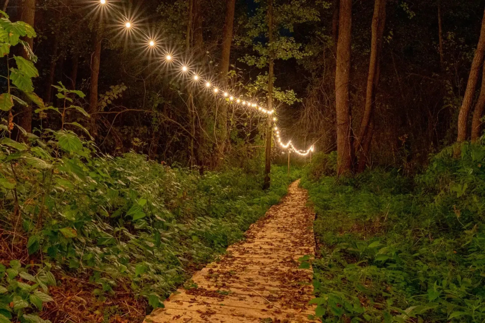 Частный Дом Афрейм с видом на лес №2